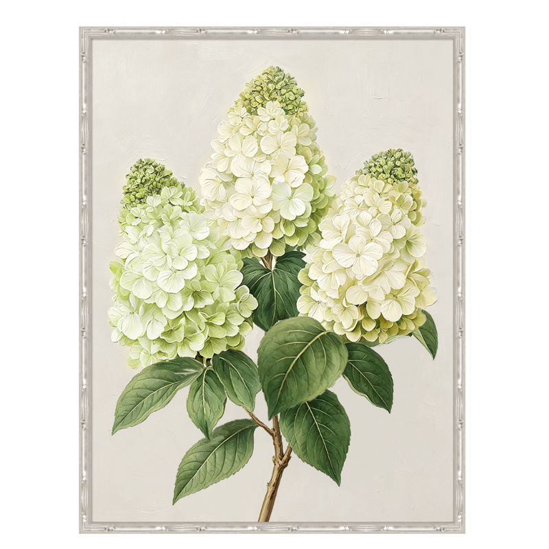 Pinnacle Hydrangea 1 Medium Canvas in Bamboo Frame