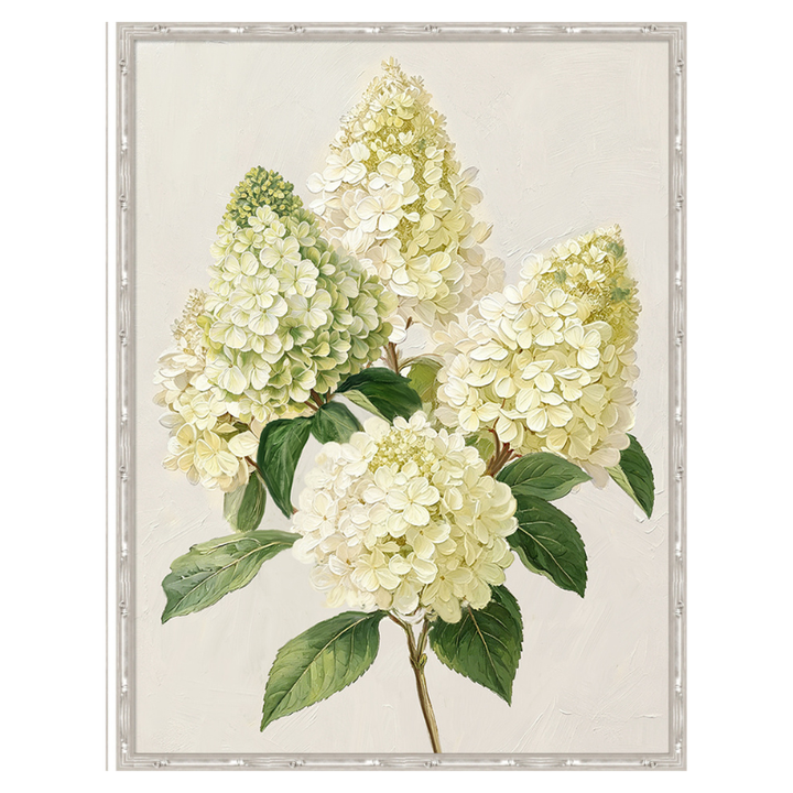 Pinnacle Hydrangea 2 Medium Canvas in Bamboo Frame