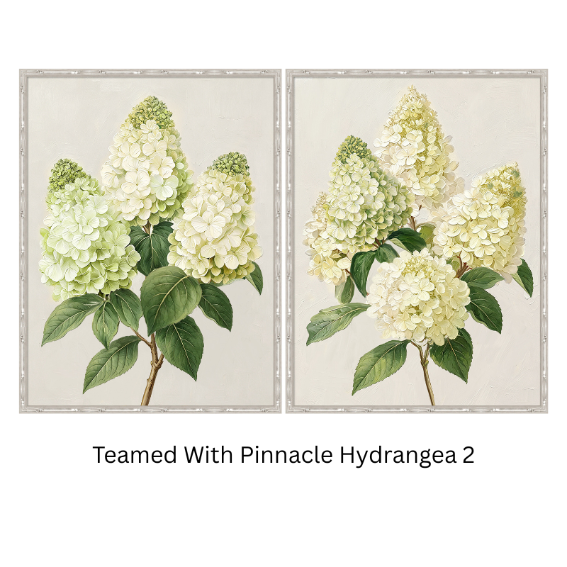 Pinnacle Hydrangea 1 Medium Canvas in Bamboo Frame