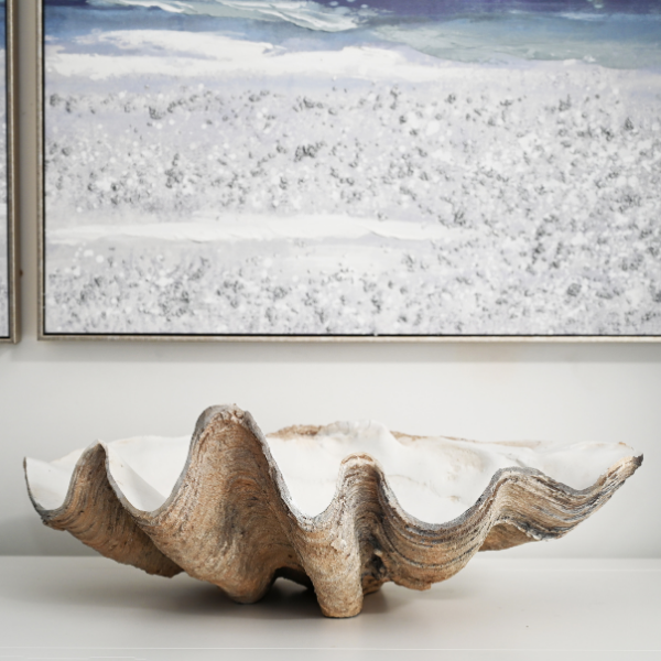 Vintage Clam Shell