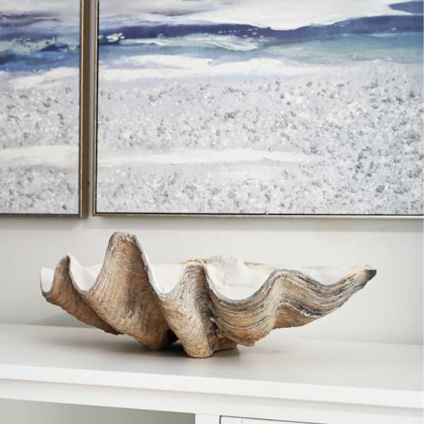 Vintage Clam Shell
