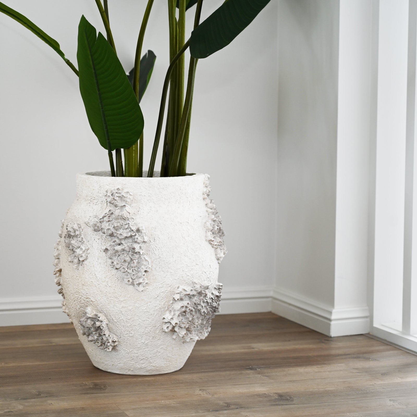 Barnacle Pot Large