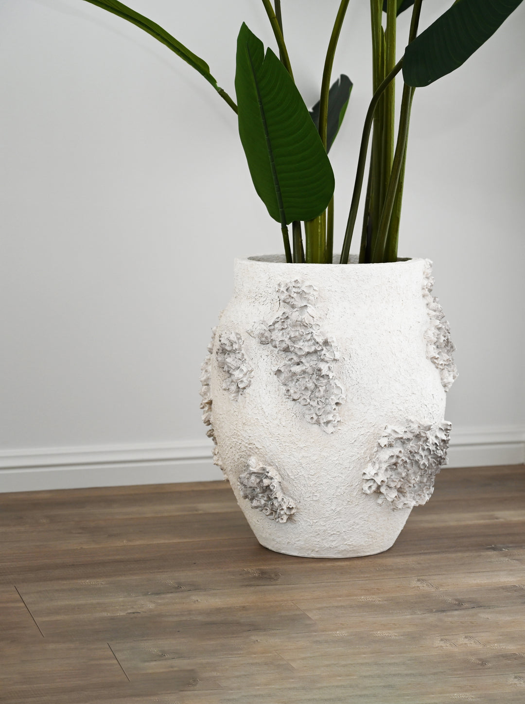 Barnacle Pot Large