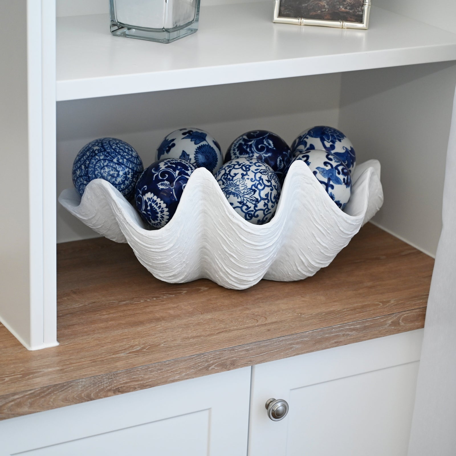 White Clam Shell Medium White