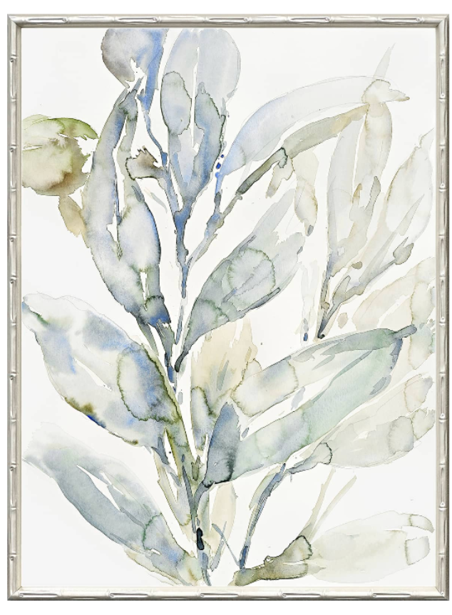 Saltwater Botanicals 2 Medium Canvas in Bamboo Frame