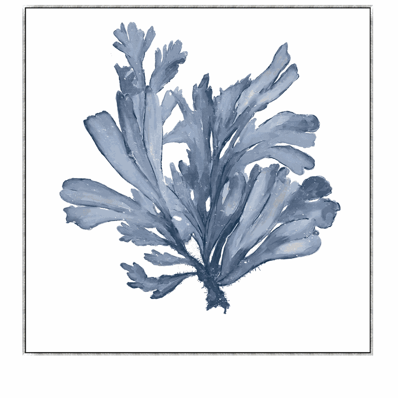 Blue Coral 2 Canvas In Antique Silver Frame