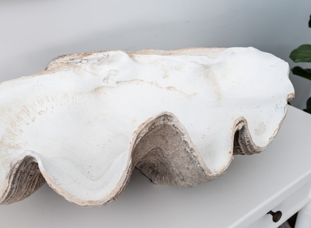 Vintage Clam Shell
