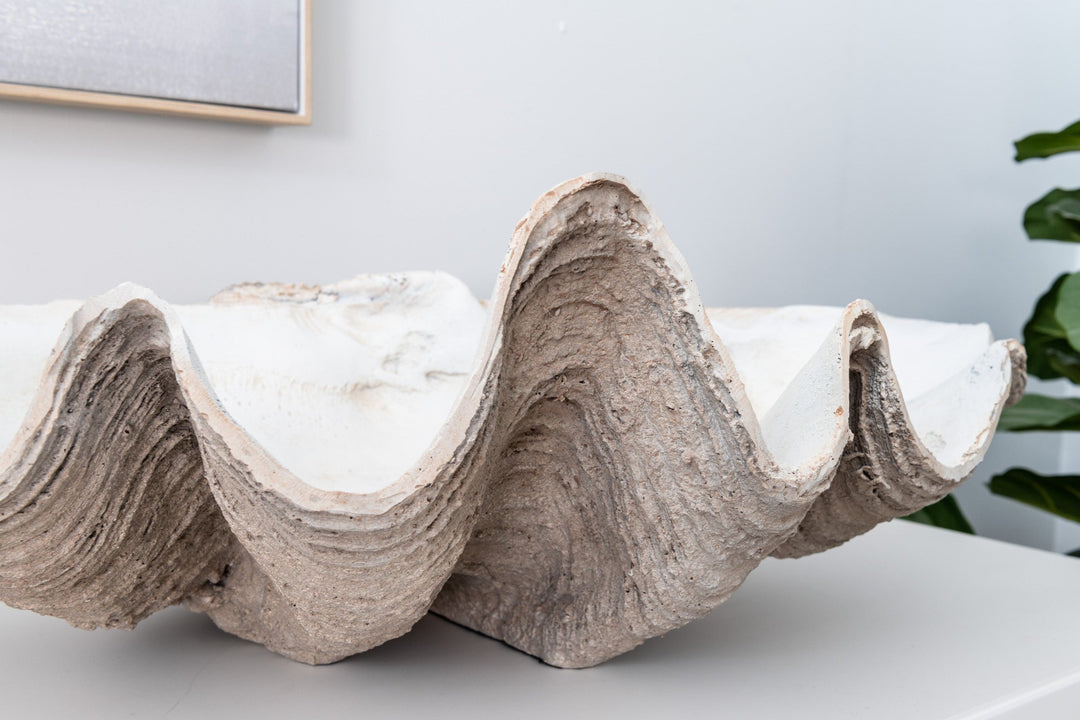 Vintage Clam Shell
