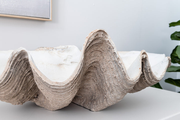 Vintage Clam Shell