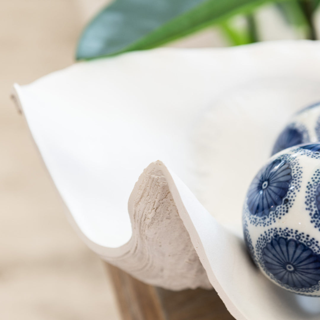 White Clam Shell