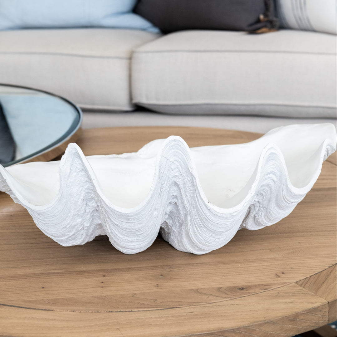 White Clam Shell