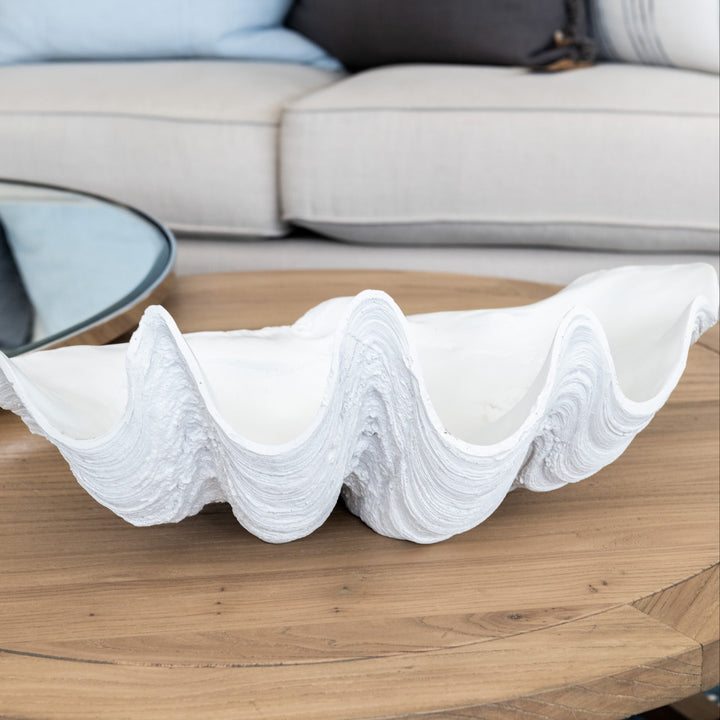 White Clam Shell