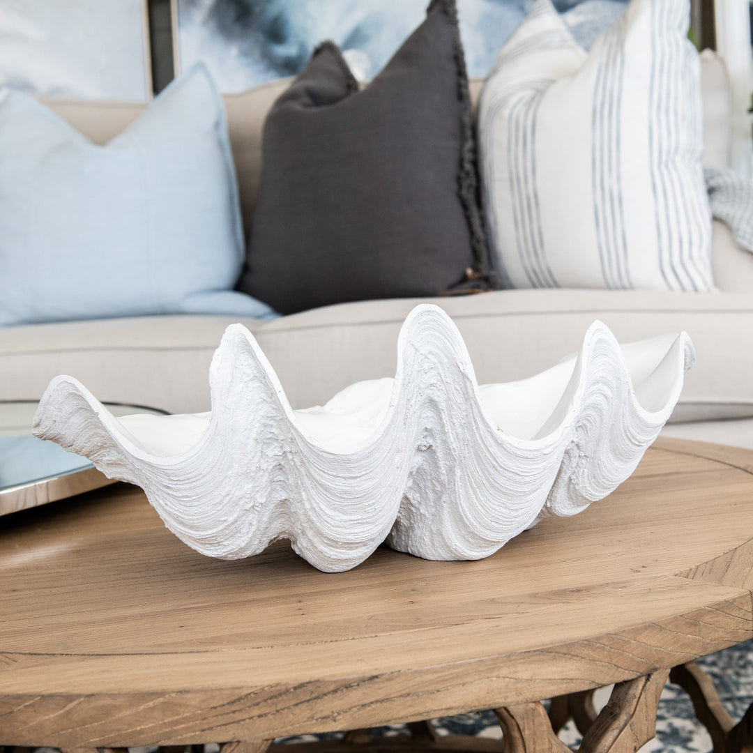 White Clam Shell