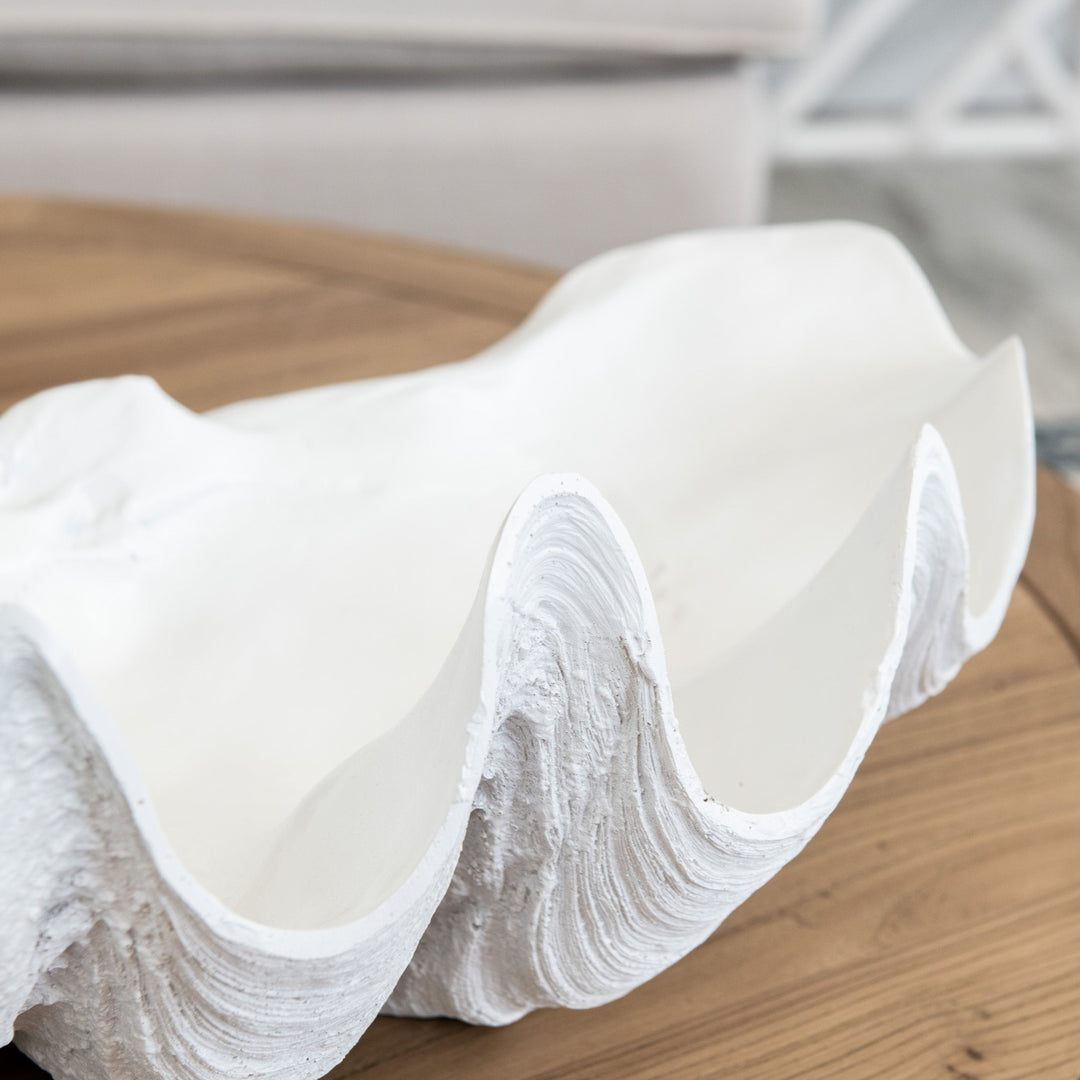 White Clam Shell