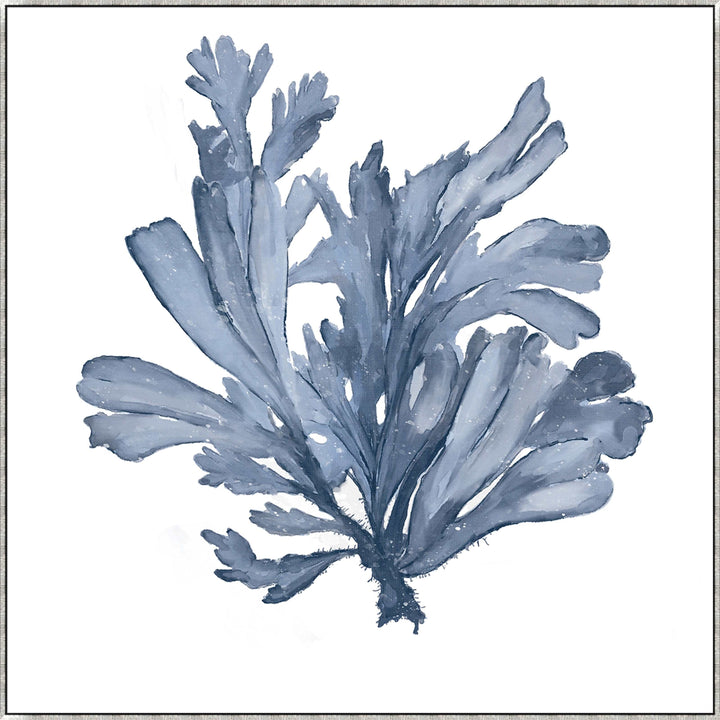 Blue Coral 2 Canvas In Antique Silver Frame